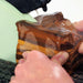 close up of hands pushing a piece of petrafied wood through diamond saw blade on the hitech lapidary saw with water drip to prevent overheating